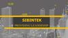 Sibintek. Providing leadership