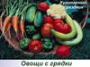 Овощи с грядки. Кулинарный праздник