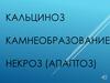Кальциноз камнеобразование некроз (апаптоз)