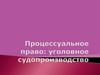 Процессуальное право: уголовное судопроизводство