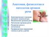 Речь. Анатомия, физиология и патология органов речи