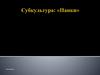 Субкультура "Панки"