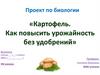 Картофель. Как повысить урожайность без удобрений