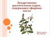 Лекарственно растительное сырье, содержащее эфирные масла