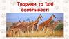 Тварини та їхні особливості. Жираф - найвища тварина на Землі