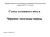 Ствол головного мозга. Черепно-мозговые нервы
