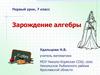Зарождение алгебры. Урок 1. 7 класс