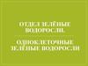 Отдел зелёные водоросли. Одноклеточные зелёные водоросли. Урок 3