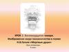 Изображение мира чиновничества в поэме Н.В. Гоголя «Мертвые души». Урок 2. 9 класс