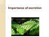 Importance of excretion