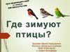 Птицы перелетные