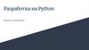 Разработка на Python. Вводная информация