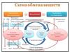 Схема обмена веществ