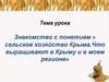 Сельское хозяйство Крыма. Что выращивают в Крыму и в моем регионе