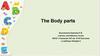 The Body parts