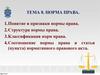 Норма права. Тема 8