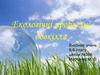 Екологічні проблеми довкілля
