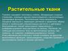 Растительные ткани