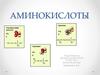 Аминокислоты. понятие об аминокислотах, как амфотерных органических соединениях