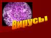 Вирусы. Понятие о вирусах