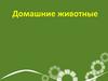 Домашние животные