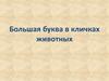 Большая буква в кличках животных
