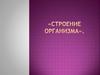 Строение организма. 8 класс