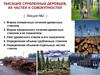 Таксация срубленных деревьев, их частей и совокупностей. Лекция №2