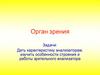 Орган зрения. Понятие об анализаторах