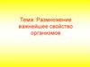 Размножение - важнейшее свойство организмов