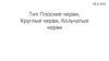 Тип Плоские черви, Круглые черви, Кольчатые черви. 7 класс