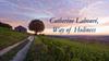 Catherine Labouré, Way of Holiness