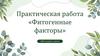 Фитогенные факторы. Практическая работа