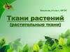 Виды тканей растений. Биология. 6 класс. ФГОС