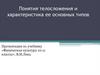 Понятия телосложения и характеристика ее основных типов