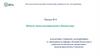 Начало эпохи колониализма в Казахстане  (лекция № 6)