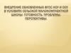 Внедрение обновленных ФГОС НОУ и ООУ в условиях сельской малокомплектной школы. Готовность, проблемы, перспективы