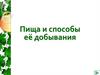 Пища и способы её добывания