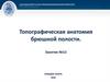 Топографическая анатомия брюшной полости. Занятие №12