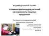 Влияние фитонцидов растений на сохранность пищевых продуктов
