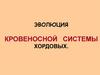 Эволюция кровеносной системы Хордовых