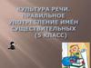 Культура речи. Правильное употребление имён существительных (5 класс)