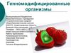 Генномодифицированные организмы