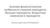 Анатомо-физиологические особенности строения периодонта. Функции периодонта. Возрастные изменения в периодонте
