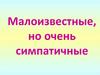 Малоизвестные, но очень симпатичные