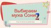 Выбираем мужа Сонику