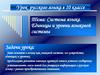 Система языка. Единицы и уровни языковой системы. Урок русского языка в 10 классе