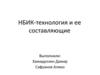 НБИК-технология и ее составляющие. Кластер Nano