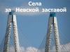 Села за Невской заставой