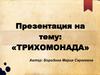 Трихомонада. Паразитарный микроорганизм